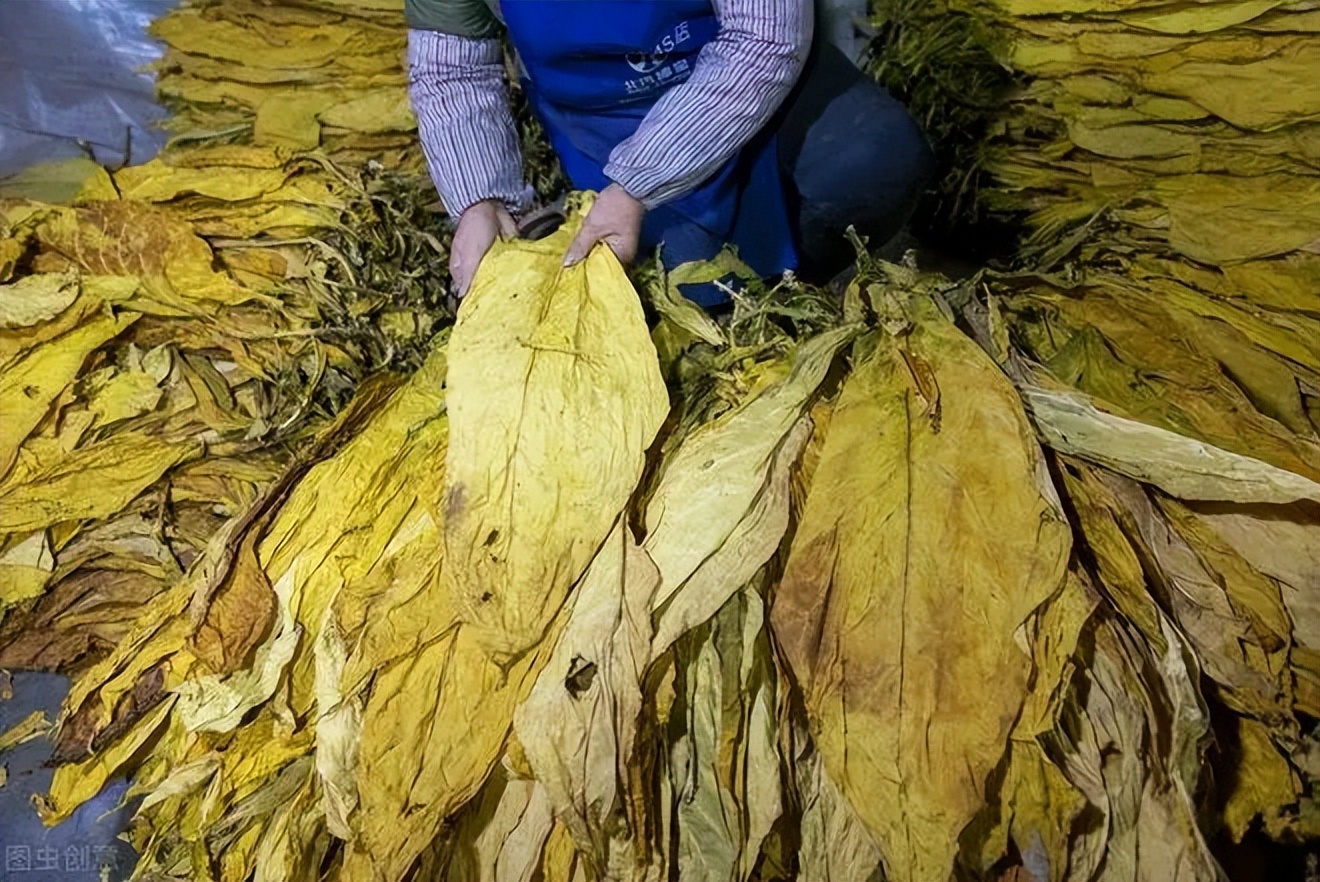 A股缩量急跌破3万亿，个股5000+普跌，机会还是风险，明天见分晓